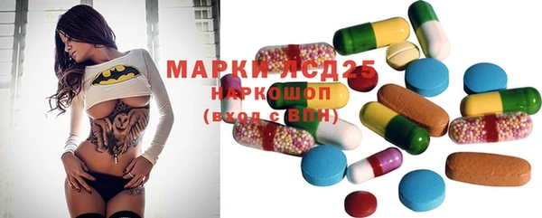 эйфоретик Пересвет
