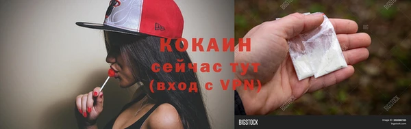 твердый Пестово