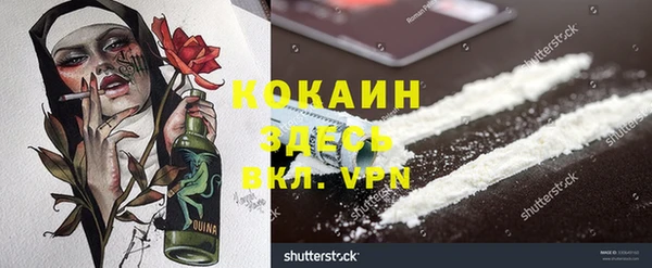 эйфоретик Пересвет